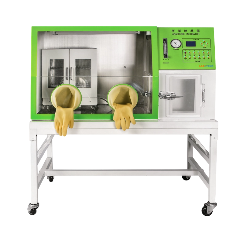 Anaerobic Incubators : Anaerobic Incubator ANI-01