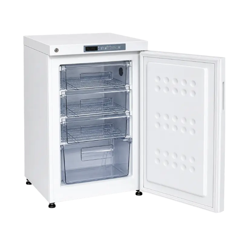 Small Biomedical Freezer 