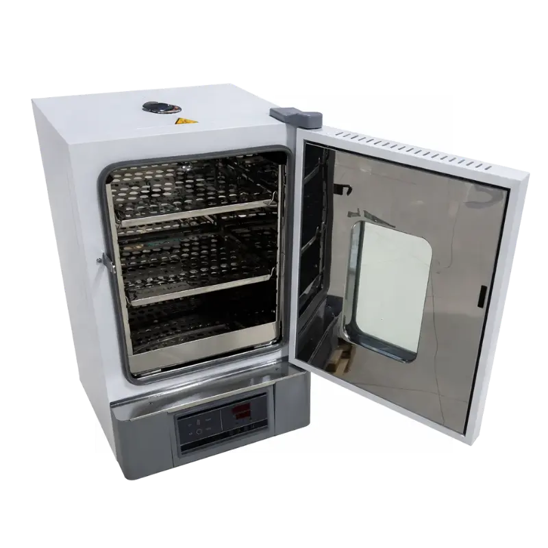Labotemp Blast Drying Oven